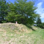 物件南側入口部分から東方向を撮影。正面の木は山桜。